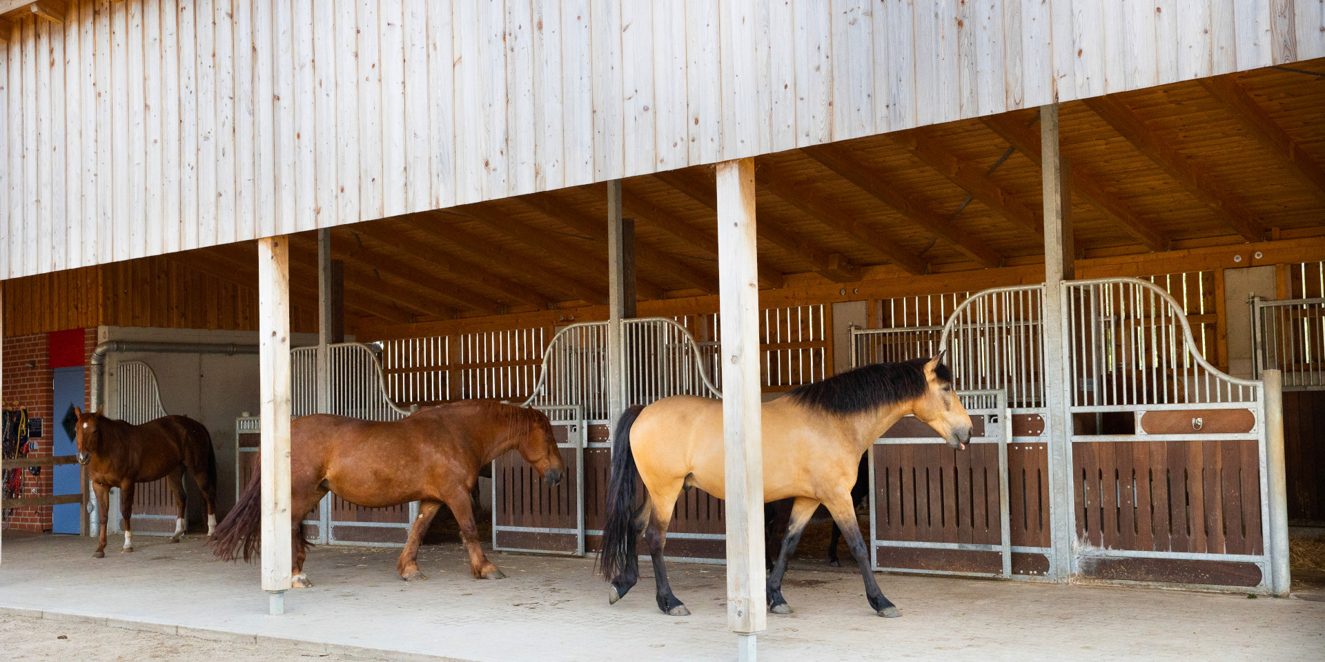 Bild von der Garten- und Pferdewerkstatt