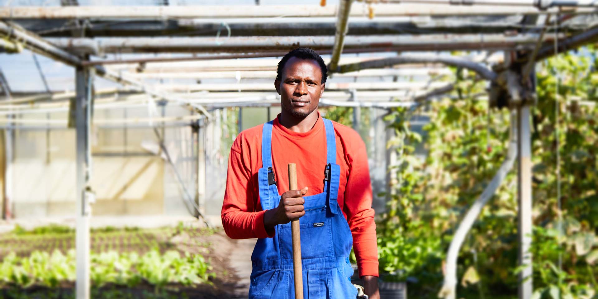 Bild Stellenangebote